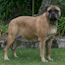Danae - 16 Months