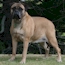 Danae - 16 Months