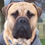 Darvo - 11 Months