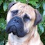 Darvo - 22 Months