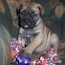 Fern - 05 Weeks