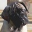 Fern - 09 Weeks