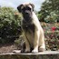 Fern - 06 Months