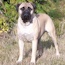Fern - 27 Months
