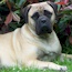 Fern - 31 Months