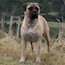 Fern - 03.5 Years