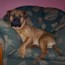 Grace - 07.5 Months
