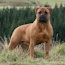 Grace - 03.5 Years