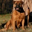 Grace - 04.5 Years