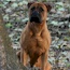 Grace - 04.5 Years