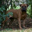 Grace - 05.5 Years