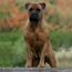 Grace - 05.5 Years