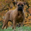 Grace - 05.5 Years