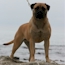 Gracie - 09 Months