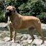 Gracie - 13 Months