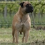Gracie - 09 Months
