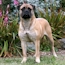 Gracie - 13 Months