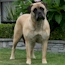 Gracie - 18 Weeks