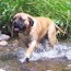 Haplo - 07 Months