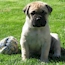 Heaven - 07.5 Weeks