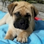 Heaven - 13.5 Weeks