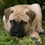 Heaven - 19 Weeks
