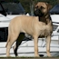 Heaven - 19 Weeks