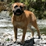 Laszlo - 13.5 Months