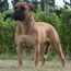 Laszlo - 24 Months