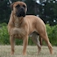 Laszlo - 24 Months