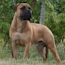 Laszlo - 24 Months