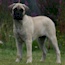 Marshall - 19 Weeks