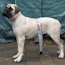 Marshall - 06 Months