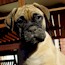 P - 05 Weeks