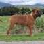 P - 24 Months