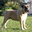 P - 22.5 Months