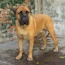 P - 20.5 Months