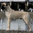 P - 20.5 Months