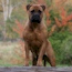 P - 22.5 Months