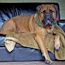 P - 30 Months