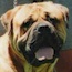 Bulltyron Rain Man
