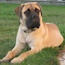 Quinn - 05 Months