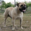 Teddy - 16 Months