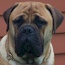 Vaylo - 11 Months