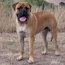 Vaylo - 12 Months