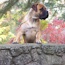 Vaylo - 14.5 Months