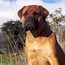 Viggo - 06.5 Months