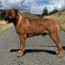 Viggo - 14 Months