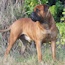 Viggo - 30 Months