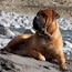 Viggo - 31 Months